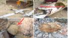حزام أبين يكشف أن الطائرة الحوثية المسيرة التي سقطت قرب مشروع (طريق باتيس - رصد) كانت مفخخة  ...