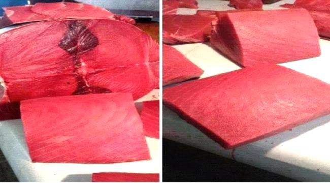 أسعار الأسماك اليوم الاثنين فى عدن 8 ديسمبر 2025م ...